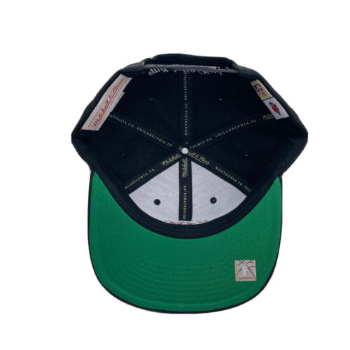 Men's Vancouver Grizzlies Mitchell & Ness Black Alternate Core Basic Adjustable Snapback Hat