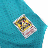 Men's Florida Marlins Andre Dawson 1995 Mitchell & Ness Teal Fashion Cooperstown Collection Mesh Batting Practice Jersey - Pro Jersey Sports