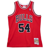 Mens Chicago Bulls Horace Grant Mitchell & Ness Red 1990-91 Hardwood Classics Swingman Jersey - Pro Jersey Sports
