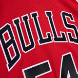 Mens Chicago Bulls Horace Grant Mitchell & Ness Red 1990-91 Hardwood Classics Swingman Jersey - Pro Jersey Sports