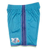 Charlotte Hornets Mitchell and Ness Hardwood Classics Teal 1999-2000 Swingman Shorts - Pro Jersey Sports