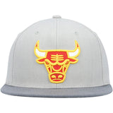 Men's Mitchell & Ness Chicago Bulls NBA Cool Grey 3 Adjustable Snapback - Pro Jersey Sports