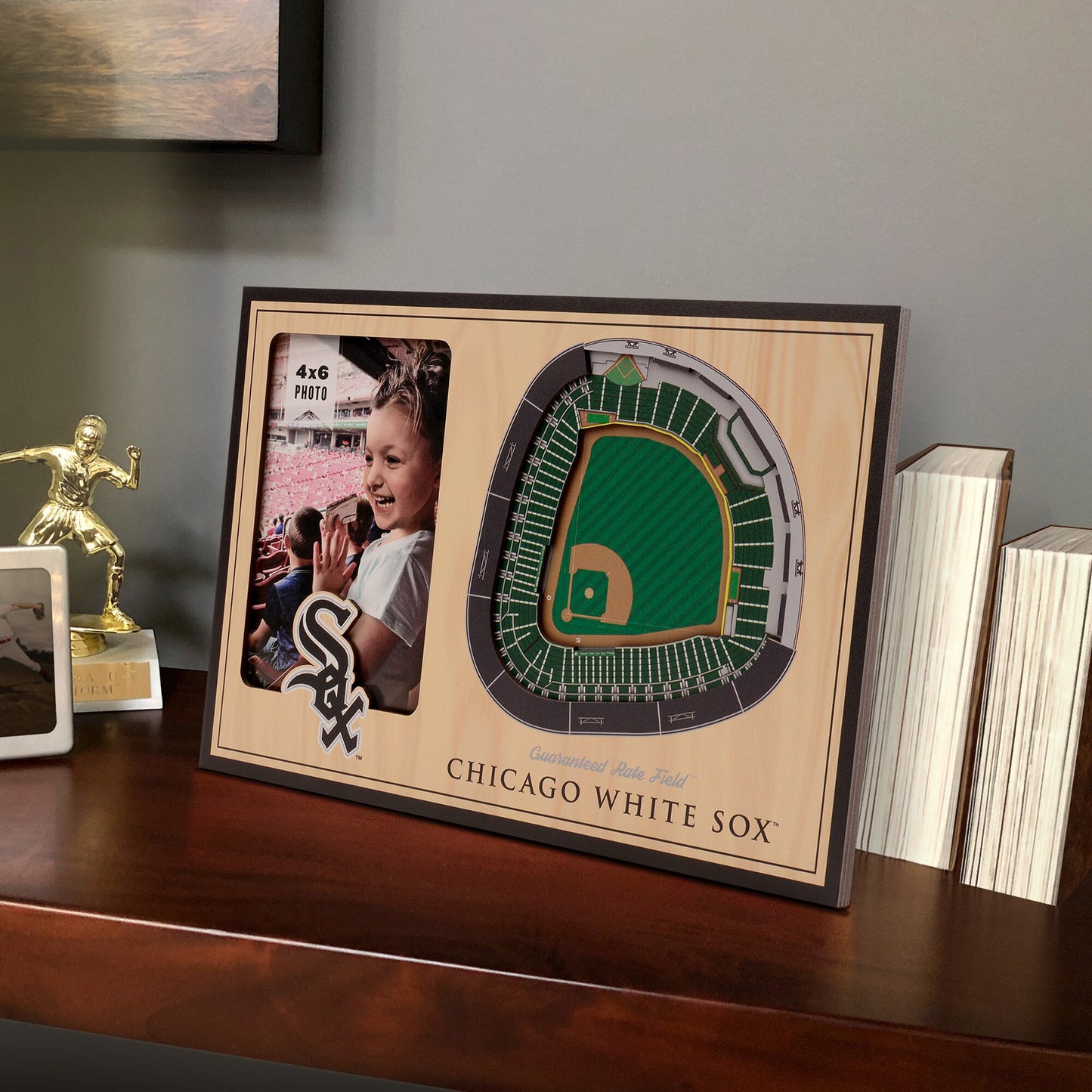Chicago White Sox 3D StadiumViews Picture Frame - Brown