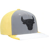 Men's Chicago Bulls Mitchell & Ness Gray/Yellow Day 5 Snapback Hat - Pro Jersey Sports
