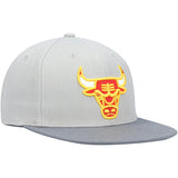 Men's Mitchell & Ness Chicago Bulls NBA Cool Grey 3 Adjustable Snapback - Pro Jersey Sports
