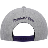 Charlotte Hornets Gray Heathered 2.0 Mitchell & Ness Snapback Hat - Pro Jersey Sports