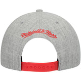 Atlanta Hawks Team Heathered Gray HWC 2.0 Mitchell & Ness Snapback Hat - Pro Jersey Sports