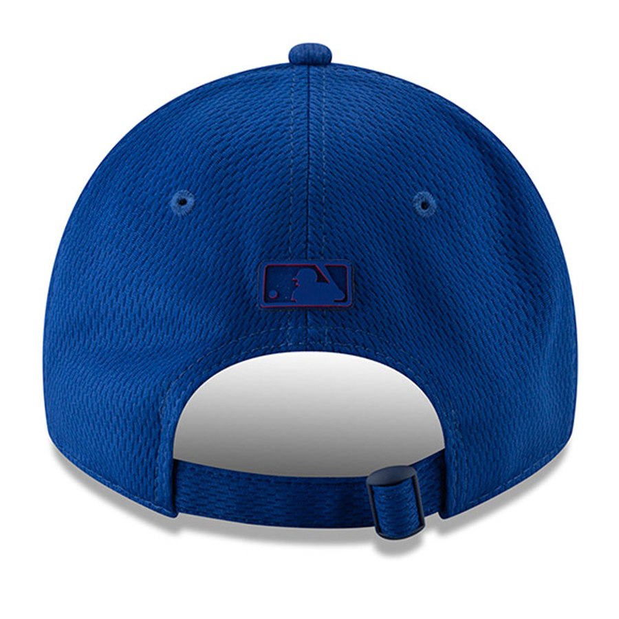 Men's Chicago Cubs New Era Royal 2019 Clubhouse Collection 9TWENTY Adjustable Hat