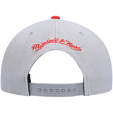 Men's Mitchell & Ness Gray Portland Trail Blazers Core Basic Snapback Hat - Pro Jersey Sports