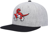 Men's Toronto Raptors Mitchell & Ness Gray/Purple Heathered Underpop Snapback Hat - Pro Jersey Sports