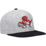 Men's Toronto Raptors Mitchell & Ness Gray/Purple Heathered Underpop Snapback Hat - Pro Jersey Sports