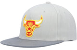 Men's Mitchell & Ness Chicago Bulls NBA Cool Grey 3 Adjustable Snapback - Pro Jersey Sports