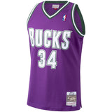 Men's Mitchell & Ness Ray Allen Milwaukee Bucks Purple 2000-01 Hardwood Classics Swingman Jersey - Pro Jersey Sports