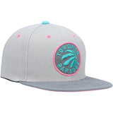 Men's Toronto Raptors Mitchell & Ness Gray Wolf Mags Snapback Hat - Pro Jersey Sports