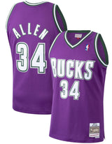 Men's Mitchell & Ness Ray Allen Milwaukee Bucks Purple 2000-01 Hardwood Classics Swingman Jersey - Pro Jersey Sports